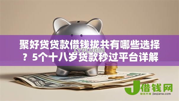 聚好贷贷款借钱拢共有哪些选择？5个十八岁贷款秒过平台详解