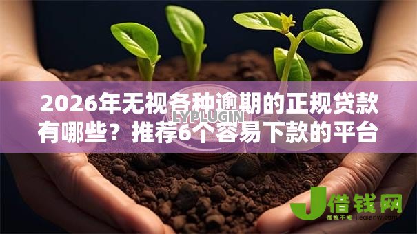 2026年无视各种逾期的正规贷款有哪些?推荐6个容易下款的平台 2026年无视各种逾期的正规贷款有哪些?推荐6个容易下款的平台