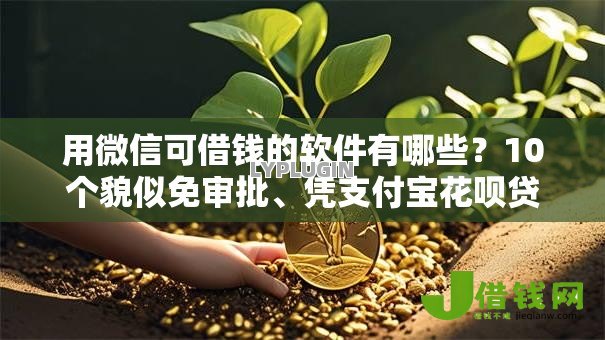 用微信可借钱的软件有哪些?10个貌似免审批、凭支付宝花呗贷款的软件合集 用微信可借钱的软件有哪些?10个貌似免审批、凭支付宝花呗贷款的软件合集