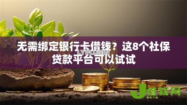 无需绑定银行卡借钱？这8个社保贷款平台可以试试