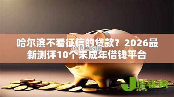 哈尔滨不看征信的贷款？2026最新测评10个未成年借钱平台