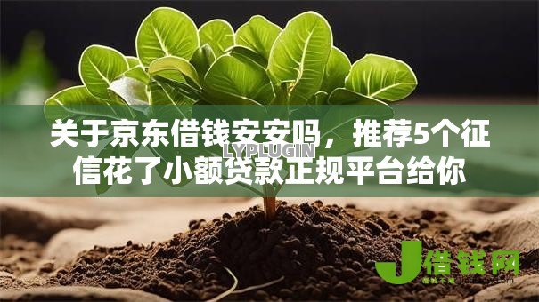 关于京东借钱安安吗,推荐5个征信花了小额贷款正规平台给你 关于京东借钱安安吗,推荐5个征信花了小额贷款正规平台给你