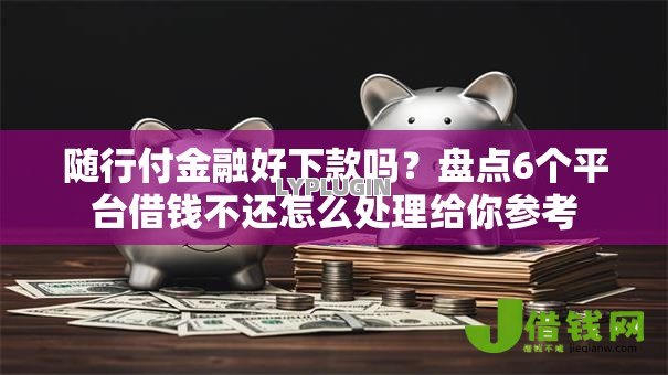 随行付金融好下款吗?盘点6个平台借钱不还怎么处理给你参考 随行付金融好下款吗?盘点6个平台借钱不还怎么处理给你参考