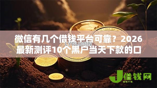 微信有几个借钱平台可靠？2026最新测评10个黑户当天下款的口子