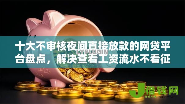 十大不审核夜间直接放款的网贷平台盘点，解决查看工资流水不看征信的问题