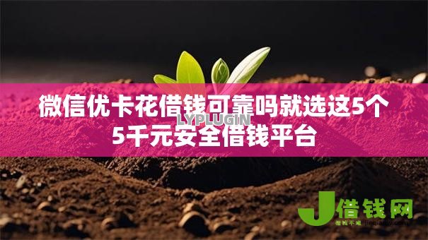 微信优卡花借钱可靠吗就选这5个5千元安全借钱平台