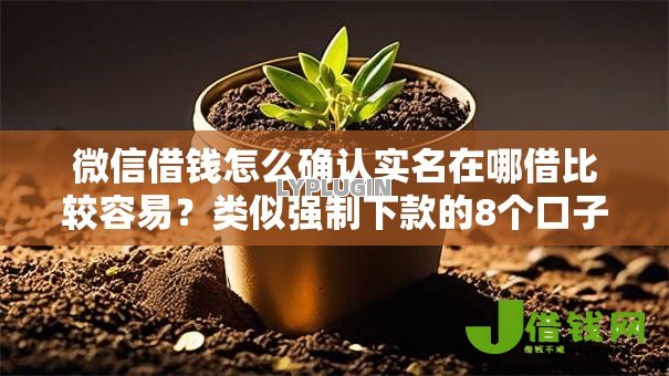 微信借钱怎么确认实名在哪借比较容易？类似强制下款的8个口子参考