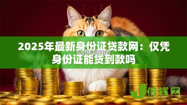 2025年最新身份证贷款网：仅凭身份证能贷到款吗
