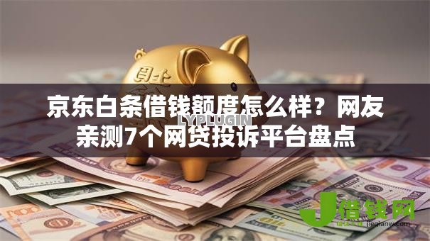 京东白条借钱额度怎么样？网友亲测7个网贷投诉平台盘点
