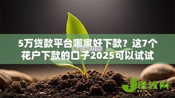 5万贷款平台哪家好下款?这7个花户下款的口子2025可以试试 5万贷款平台哪家好下款?这7个花户下款的口子2025可以试试