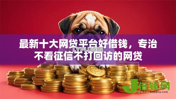 最新十大网贷平台好借钱，专治不看征信不打回访的网贷