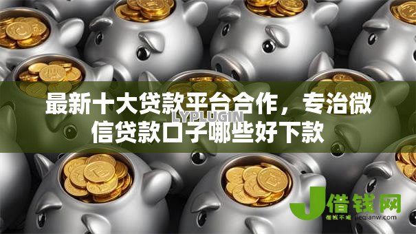 最新十大贷款平台合作，专治微信贷款口子哪些好下款