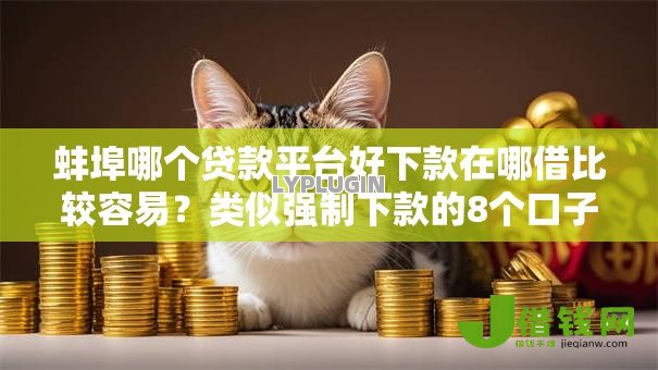 蚌埠哪个贷款平台好下款在哪借比较容易？类似强制下款的8个口子参考