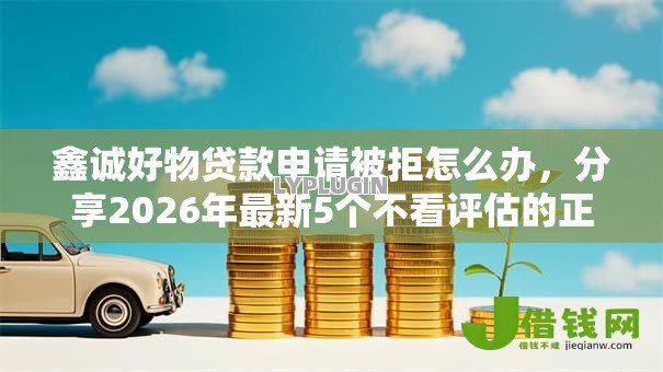 鑫诚好物贷款申请被拒怎么办，分享2026年最新5个不看评估的正规的借贷平台