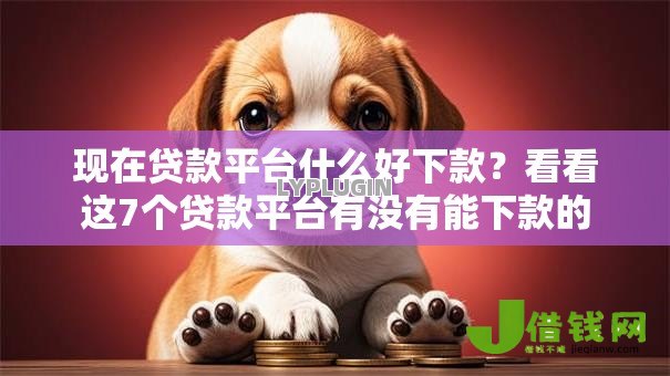 现在贷款平台什么好下款？看看这7个贷款平台有没有能下款的