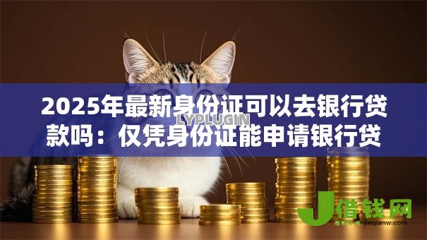 2025年最新身份证可以去银行贷款吗:仅凭身份证能申请银行贷款吗 2025年最新身份证可以去银行贷款吗:仅凭身份证能申请银行贷款吗
