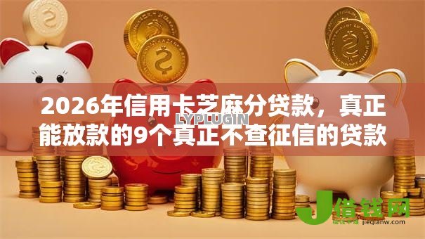 2026年信用卡芝麻分贷款，真正能放款的9个真正不查征信的贷款平台推荐