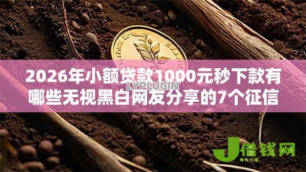 2026年小额贷款1000元秒下款有哪些无视黑白网友分享的7个征信花手机上太高利息贷款软件我觉得不错！