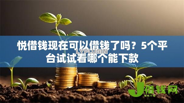 悦借钱现在可以借钱了吗？5个平台试试看哪个能下款
