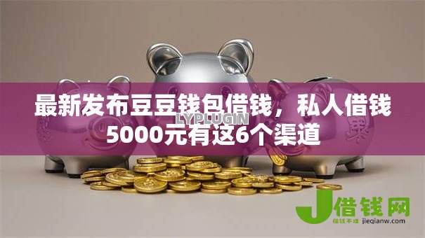 最新发布豆豆钱包借钱，私人借钱5000元有这6个渠道
