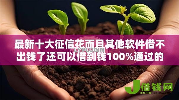 最新十大征信花而且其他软件借不出钱了还可以借到钱100%通过的平台，专治无视一切征信逾期的贷款