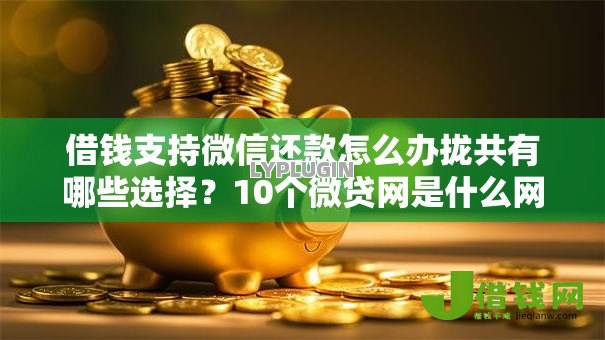 借钱支持微信还款怎么办拢共有哪些选择?10个微贷网是什么网贷平台详解 借钱支持微信还款怎么办拢共有哪些选择?10个微贷网是什么网贷平台详解