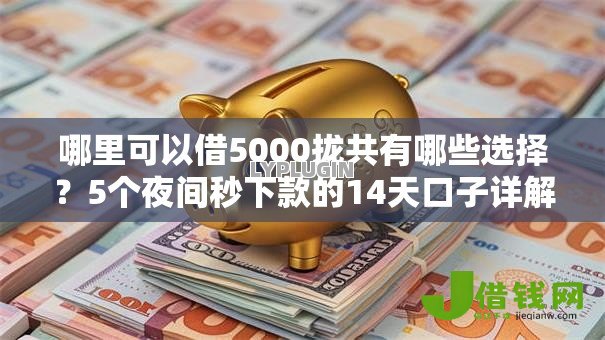 哪里可以借5000拢共有哪些选择？5个夜间秒下款的14天口子详解