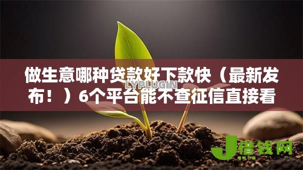 做生意哪种贷款好下款快（最新发布！）6个平台能不查征信直接看出来借款额度
