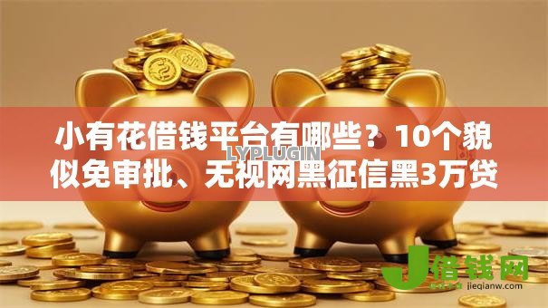 小有花借钱平台有哪些？10个貌似免审批、无视网黑征信黑3万贷款合集