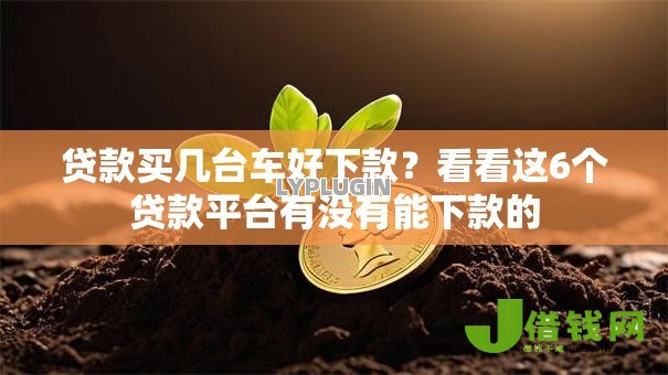 贷款买几台车好下款?看看这6个贷款平台有没有能下款的 贷款买几台车好下款?看看这6个贷款平台有没有能下款的