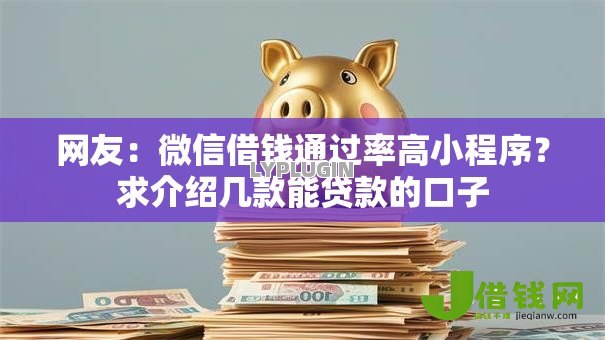 网友：微信借钱通过率高小程序？求介绍几款能贷款的口子