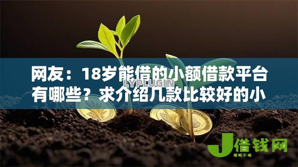 网友：18岁能借的小额借款平台有哪些？求介绍几款比较好的小额贷款软件