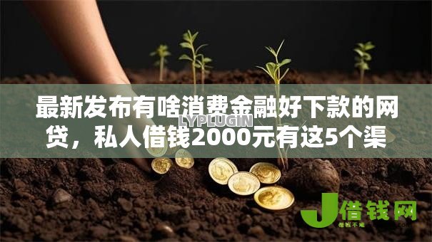 最新发布有啥消费金融好下款的网贷,私人借钱2000元有这5个渠道 最新发布有啥消费金融好下款的网贷,私人借钱2000元有这5个渠道