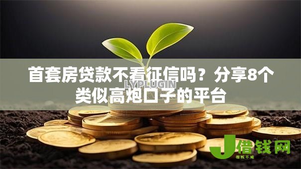 首套房贷款不看征信吗？分享8个类似高炮口子的平台