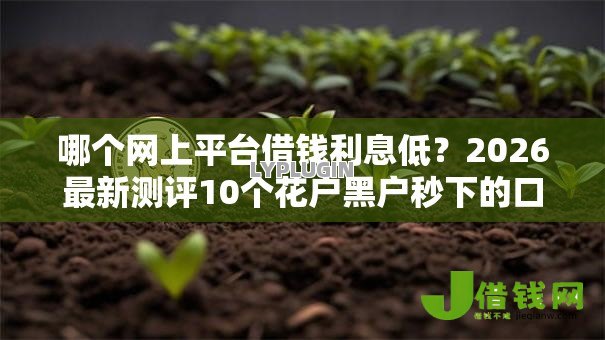 哪个网上平台借钱利息低？2026最新测评10个花户黑户秒下的口子