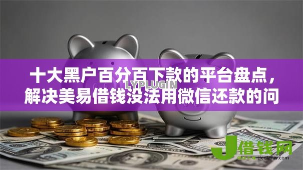 十大黑户百分百下款的平台盘点，解决美易借钱没法用微信还款的问题