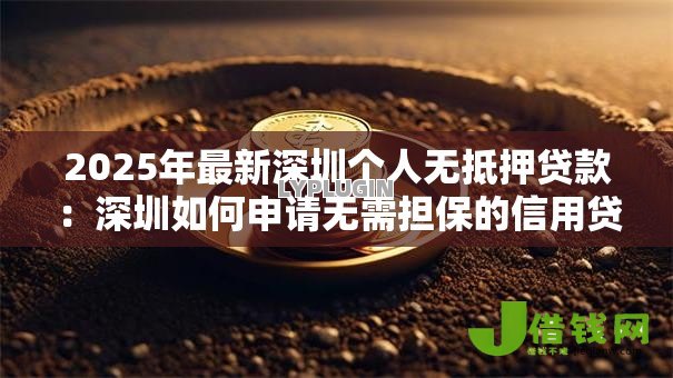 2025年最新深圳个人无抵押贷款：深圳如何申请无需担保的信用贷款