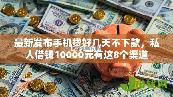 最新发布手机贷好几天不下款，私人借钱10000元有这8个渠道
