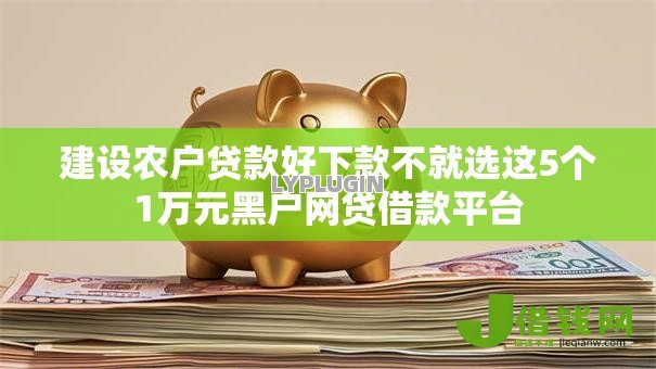 建设农户贷款好下款不就选这5个1万元黑户网贷借款平台