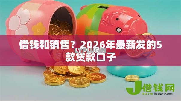 借钱和销售？2026年最新发的5款贷款口子