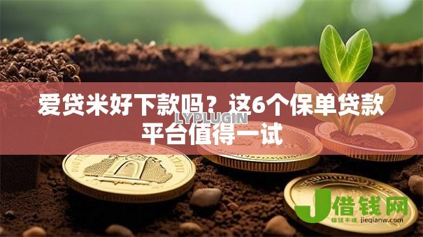 爱贷米好下款吗？这6个保单贷款平台值得一试