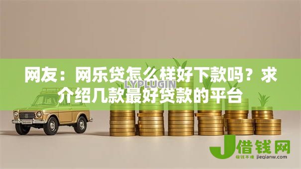 网友：网乐贷怎么样好下款吗？求介绍几款最好贷款的平台