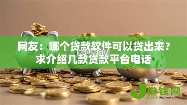 网友：哪个贷款软件可以贷出来？求介绍几款贷款平台电话