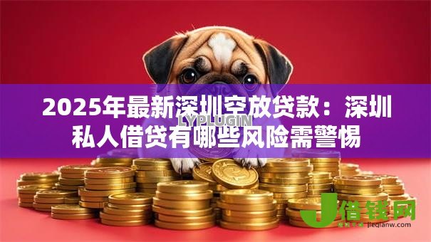 2025年最新深圳空放贷款:深圳私人借贷有哪些风险需警惕 2025年最新深圳空放贷款:深圳私人借贷有哪些风险需警惕