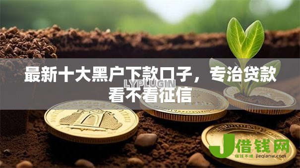 最新十大黑户下款口子，专治贷款看不看征信