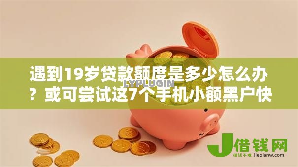 遇到19岁贷款额度是多少怎么办？或可尝试这7个手机小额黑户快速贷款口子