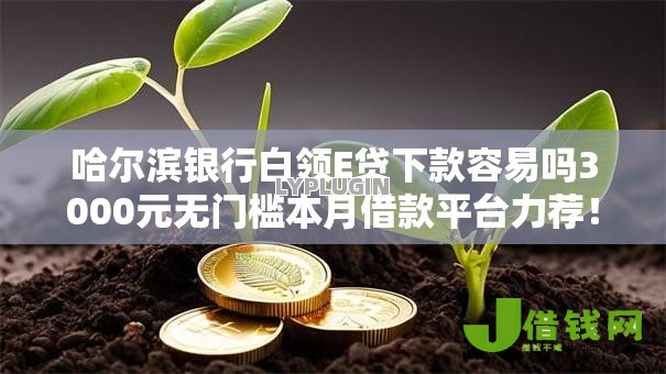 哈尔滨银行白领E贷下款容易吗3000元无门槛本月借款平台力荐！分享小额网贷口子3000元无门槛借款