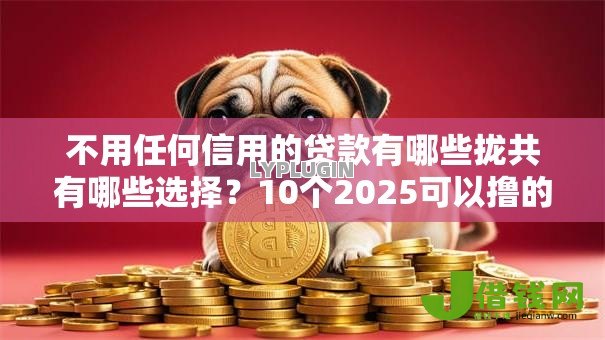 不用任何信用的贷款有哪些拢共有哪些选择？10个2025可以撸的口子详解