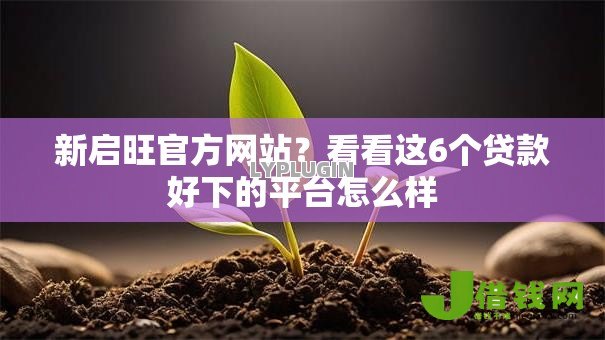 新启旺官方网站？看看这6个贷款好下的平台怎么样