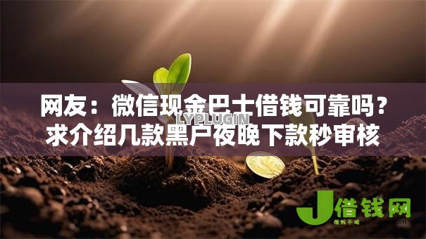 网友：微信现金巴士借钱可靠吗？求介绍几款黑户夜晚下款秒审核的平台